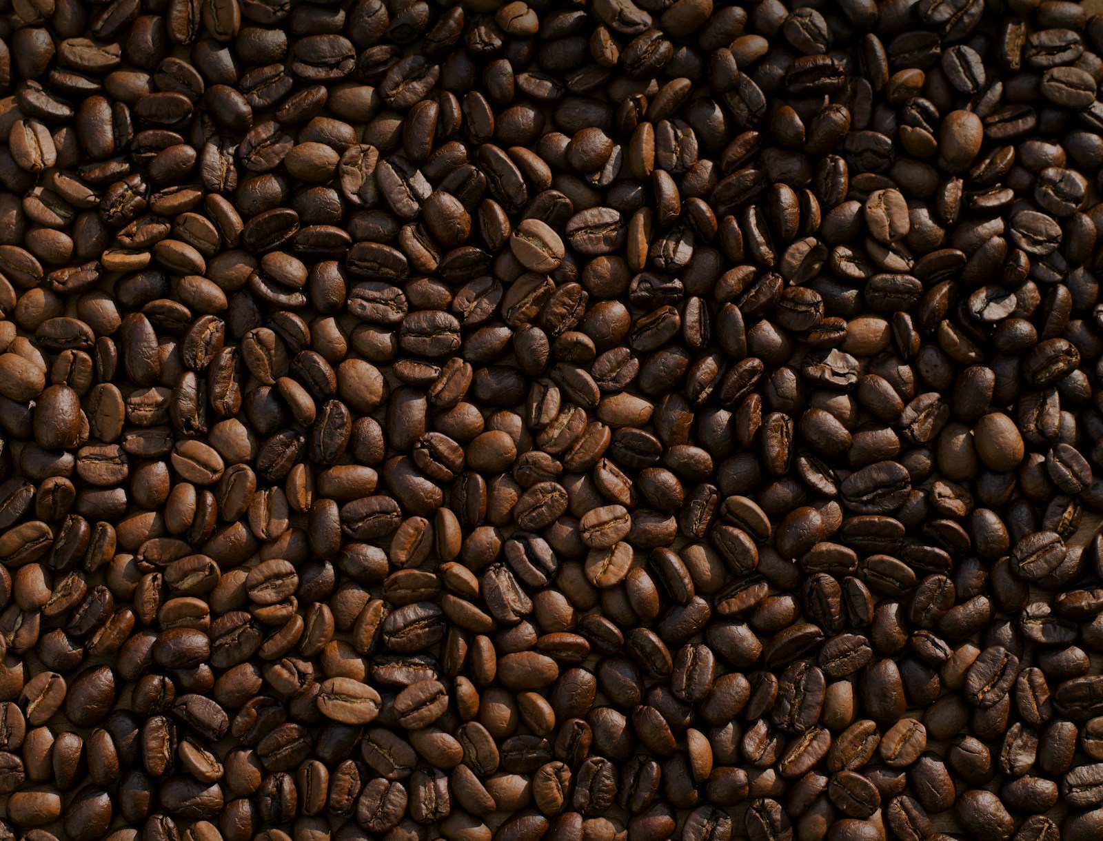 NẾP QUÊ — coffee
